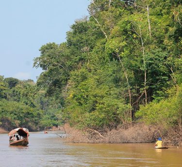 Amazonía - agua y vida