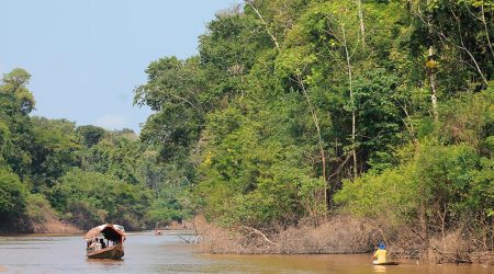 Amazonía - agua y vida