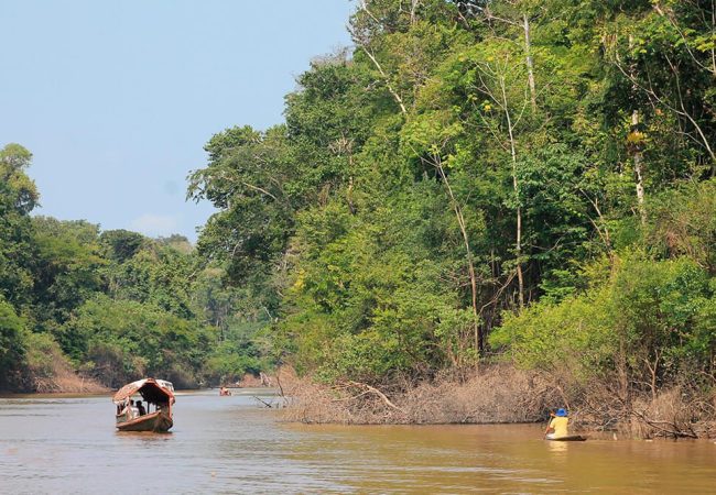 Amazonía - agua y vida
