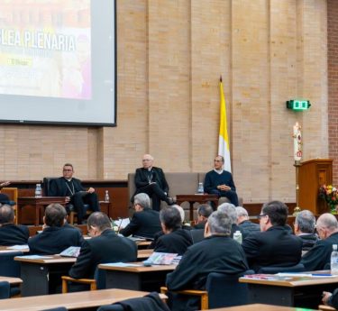 Asamblea-plenaria-1