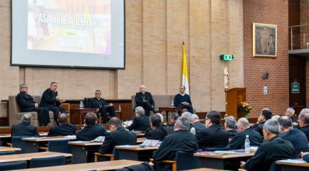 Asamblea-plenaria-1