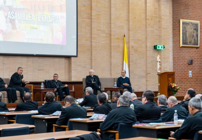 Asamblea-plenaria-1