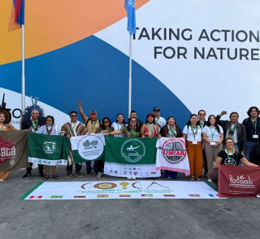 COP17 - Amazonía