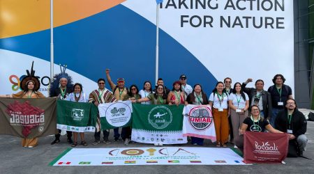 COP17 - Amazonía