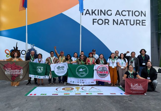 COP17 - Amazonía