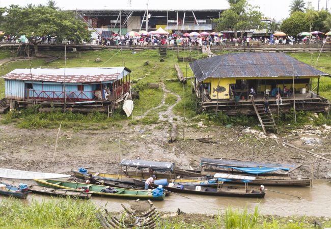 Dilexit Te_Amazonía