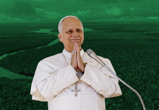 Papa León - Amazonía