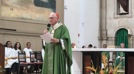 Steiner_Vocacional