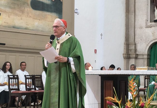 Steiner_Vocacional